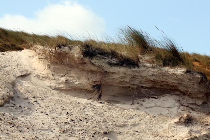 Morsum Kliff 28.jpg - Am Morsum Kliff